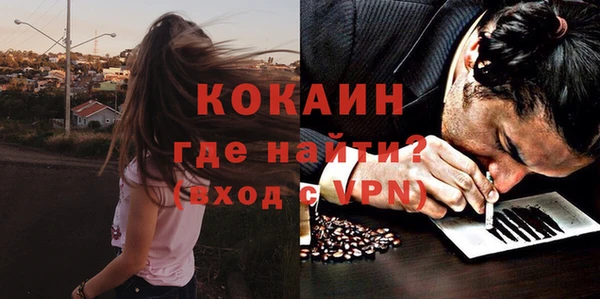 эйфоретик Кукмор