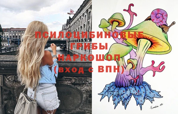 эйфоретик Кукмор
